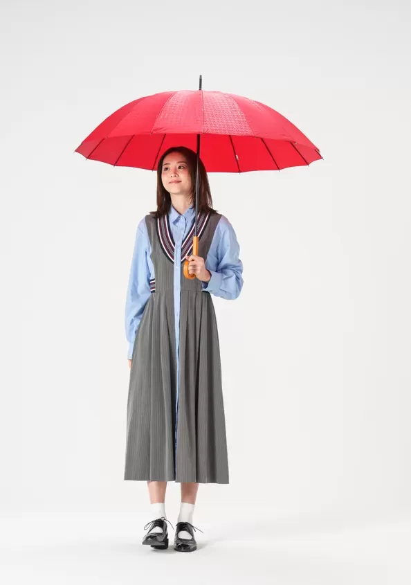 16本骨傘 江戸